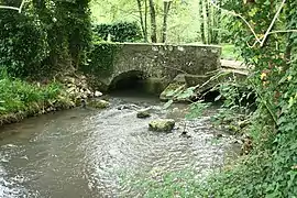 L'Orvanne à Pilliers, sur Villecerf.