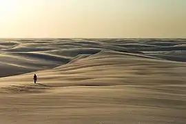 Dunes dans le parc.