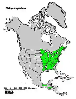 Description de l'image Ostrya_virginiana_range_map.jpg.