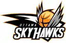 Logo du SkyHawks d'Ottawa