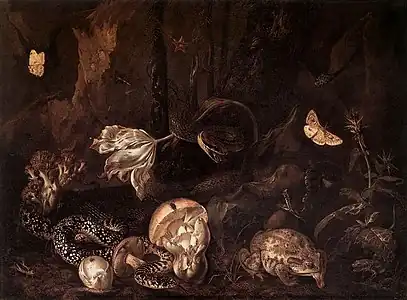 Nature morte avec insectes, 1662Herzog Anton Ulrich Museum