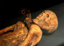 Ötzi la plus ancienne momie du monde découverte dans le sud des Alpes (région du Trentin-Haut-Adige) avec un équipement extrêmement sophistiqué pour cette époque. On retrouvera notamment sur lui un ingénieux système permettant de transporter des braises pendant plusieurs heures en haute montagne. 3 500 av. J.-C..