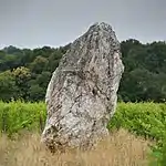 Menhir de la Pierre blanche