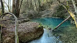 La source de Briseux.