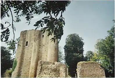 photo couleur d'un château de pierre à donjon rectangulaire flanqué de tourelles d'angle circulaires et contreforts hémicylindriques. La ruine du haut des murs permet de voir la maçonnerie pleine des renforts.