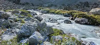 La Romanche, près de ses sources, sur la commune de Villar-d'Arêne.