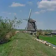 Le moulin dans son environnement.