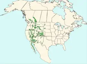 Description de l'image Ovis-canadensis map.png.