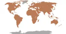 carte de monde entièrement coloriée à l'exception de l'Antarctique et d'une grande partie du Groenland
