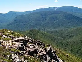 Image illustrative de l’article Forêt nationale de White Mountain