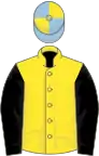 Yellow, black sleeves, light blue and yellow quartered cap