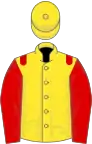 Yellow, red epaulets and sleeves