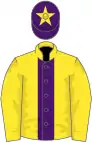 Yellow, purple stripe, yellow sleeves, purple cap, yellow star