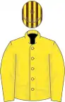 Yellow, brown striped cap