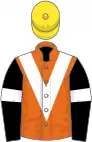 Orange, white chevron, black sleeves, white armlets, yellow cap