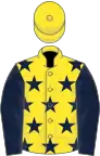 Yellow, dark blue stars and sleeves, yellow cap