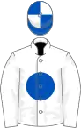 White, royal blue ball, white sleeves, blue and white quartered cap