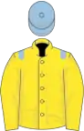 Yellow, light blue epaulets, light blue cap