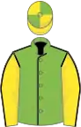 Light green, black seams, yellow sleeves, black seams, yellow and green quartered cap