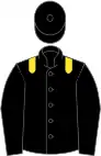 Black, yellow epaulettes, black sleeves, black cap