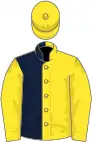 Yellow and dark blue (halved), yellow sleeves and cap