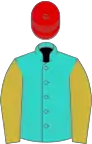 Turquoise, old gold sleeves, red cap