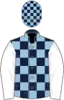 Dark blue and light blue check, white sleeves