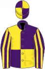 Purple and yellow (quartered), striped sleeves, quartered cap