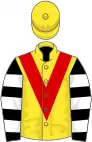 Yellow, red chevron, black and white hooped sleeves, yellow cap