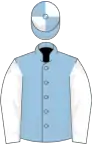 Light blue, white sleeves, quartered cap