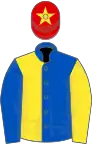 Royal blue and yellow (halved), sleeves reversed, red cap, yellow star