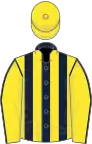 Dark Blue and Yellow stripes, Yellow sleeves, Dark Blue seams, Yellow cap