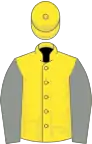 Yellow, grey sleeves