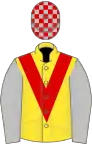 Yellow, red chevron, silver sleeves, yellow stripe, silver and red checked cap