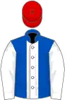 Royal blue, white stripe on body, white sleeves, red cap