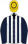 Dark blue and white stripes, blue sleeves, gold cap, blue hoop