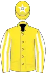 Yellow, white and yellow striped sleeves, yellow cap, white star