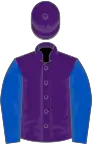 Purple, royal blue sleeves