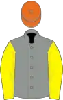 Grey, Lemon sleeves, Orange cap