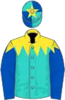 Turquoise, yellow shoulders, royal blue sleeves, turquoise and royal blue quartered cap, yellow star