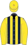 Dark blue and yellow stripes, yellow sleeves and cap