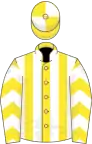 Yellow and white stripes, chevrons on sleeves, quartered cap