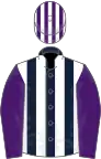 Dark blue and white stripes, purple sleeves, purple and white striped cap