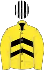 Yellow and black chevrons, yellow sleeves, white and black striped cap