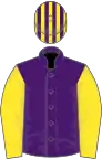 Purple, yellow sleeves, purple and yellow striped cap
