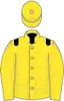 Yellow, black epaulettes, yellow cap