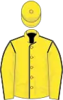 Yellow, dark blue seams, yellow cap