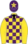 Yellow and purple check, yellow sleeves, purple cap, yellow star