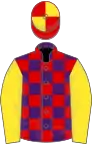 Purple and Red check, Yellow sleeves, Red and Yellow quartered cap