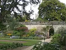 Photographie d'une bordure florale du jardin